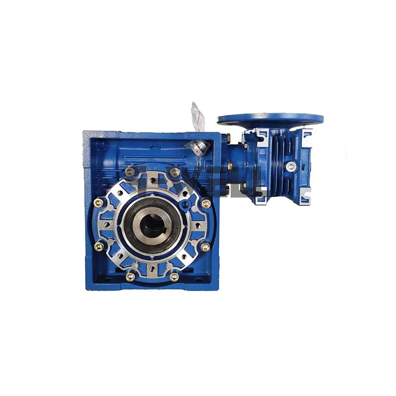 Double Worm Gearbox DRV40-75 2