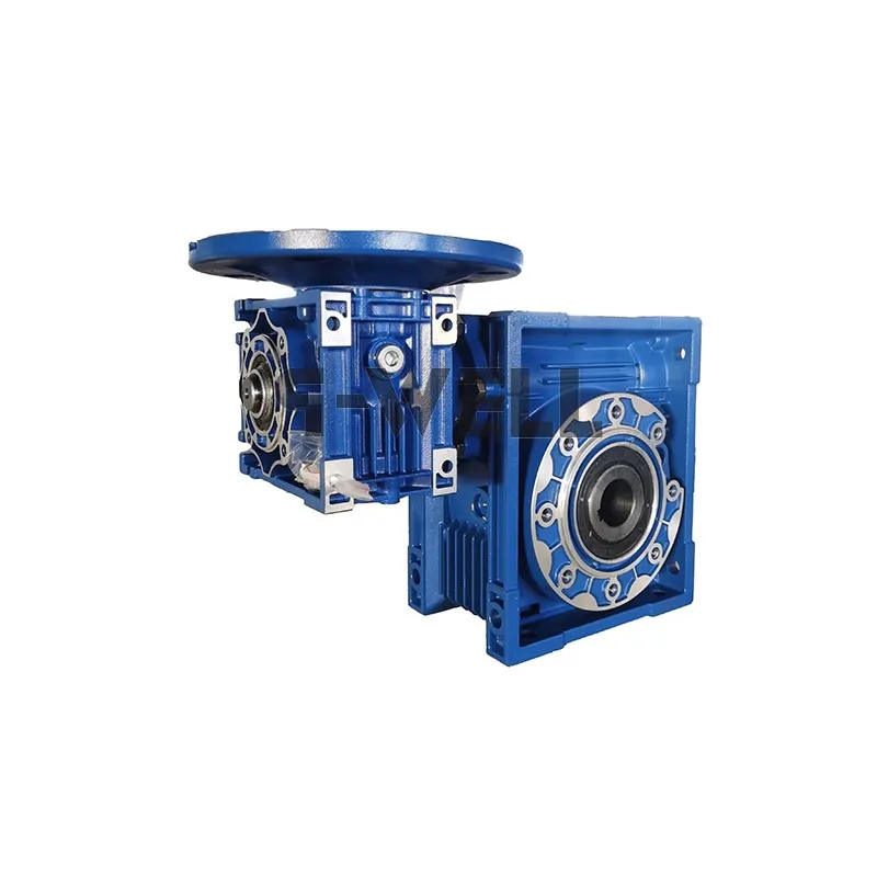 Double Worm Gearbox DRV40-75 3