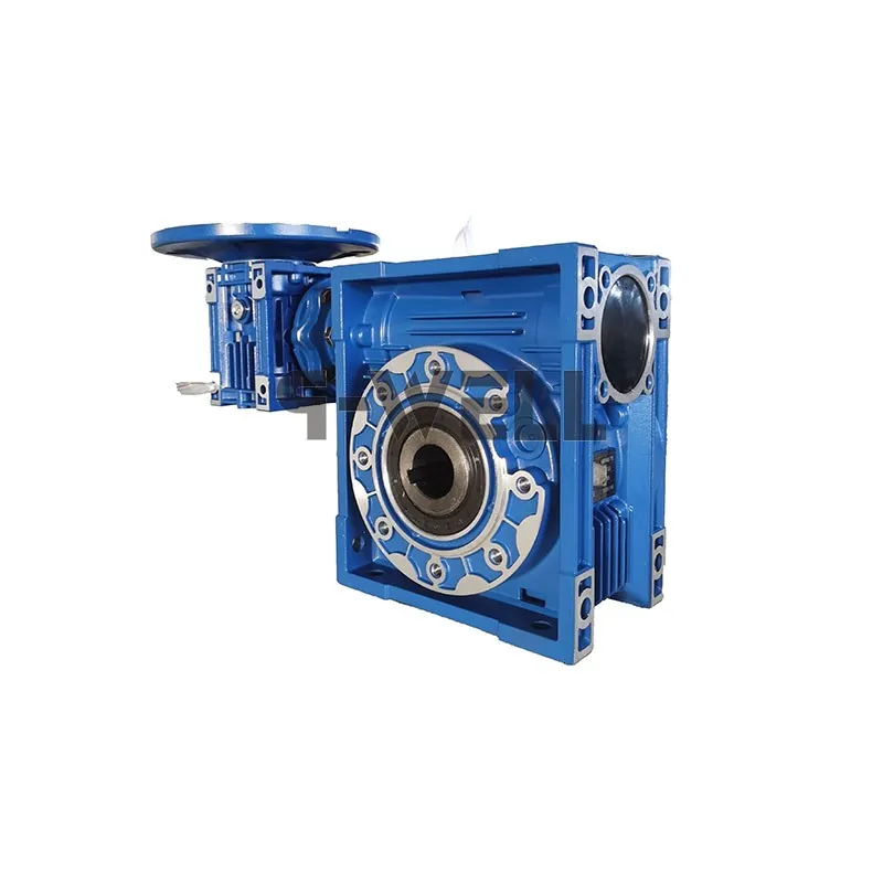 Double Worm Gearbox DRV40-75 5